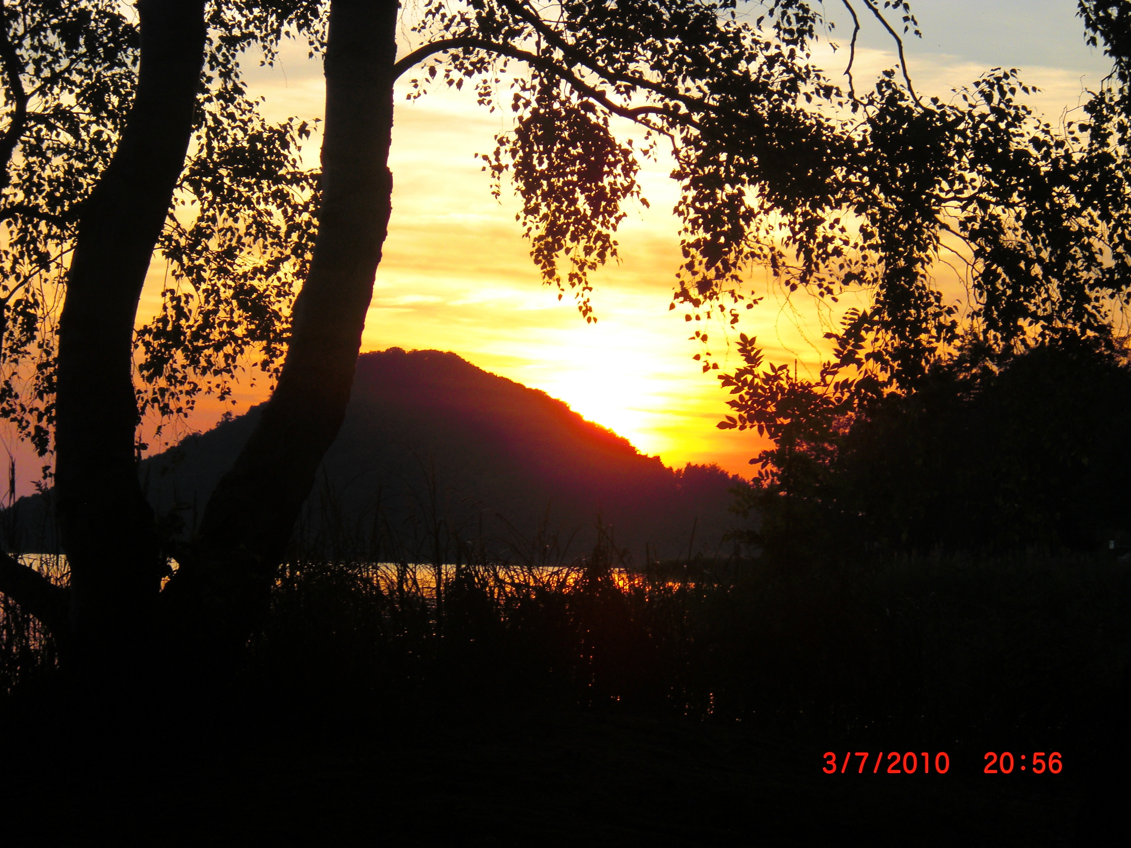 CIMG0652.JPG